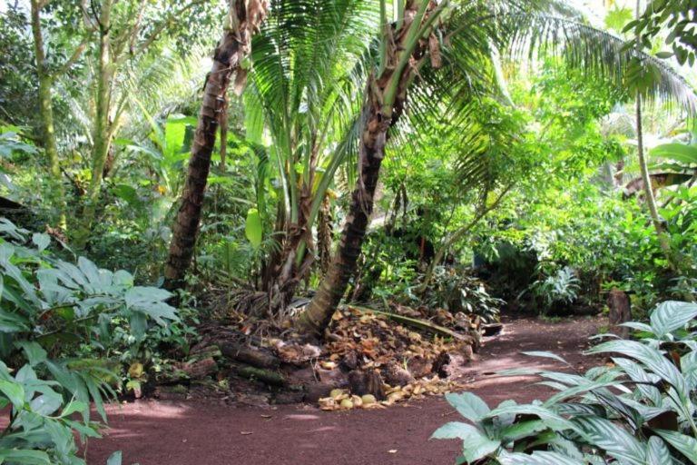 Paradise Eco Village Pahoa Exterior photo