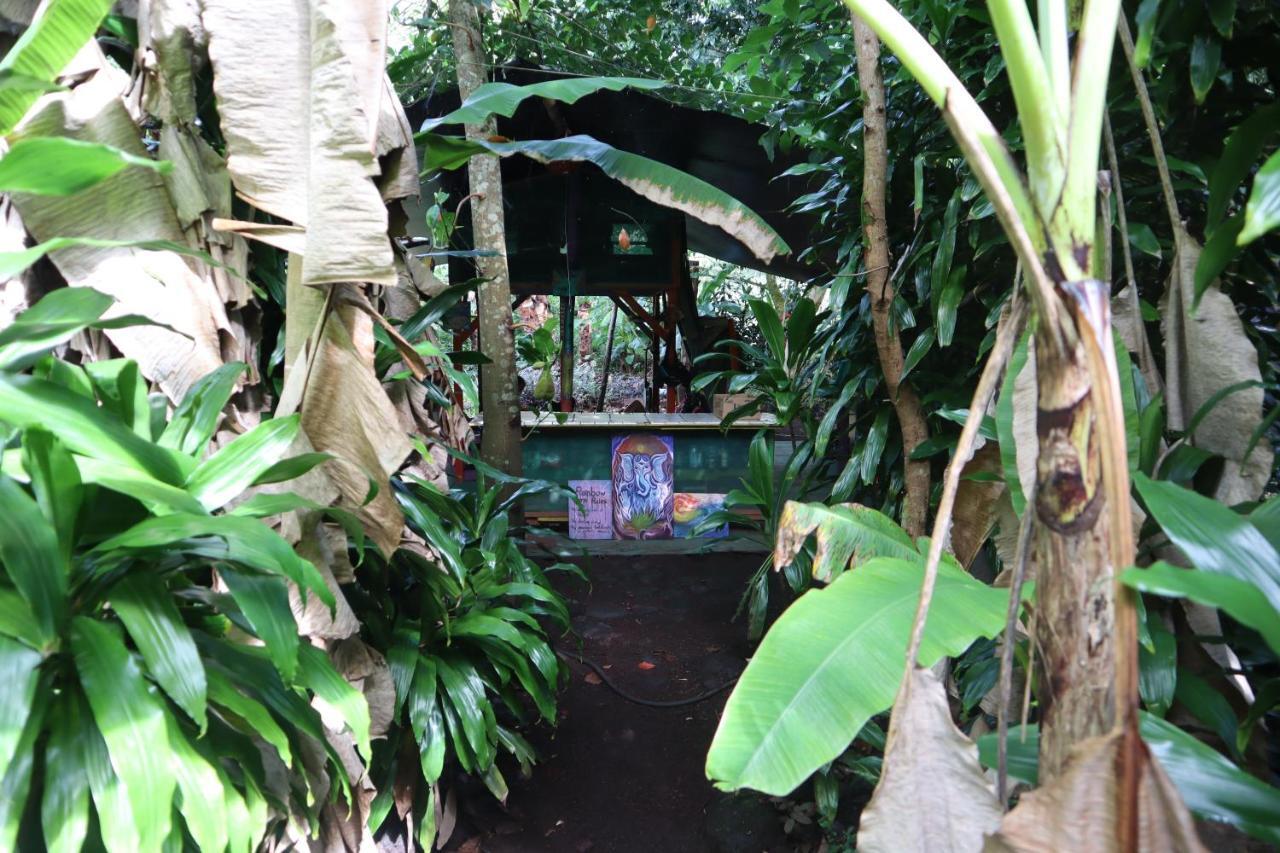 Paradise Eco Village Pahoa Exterior photo