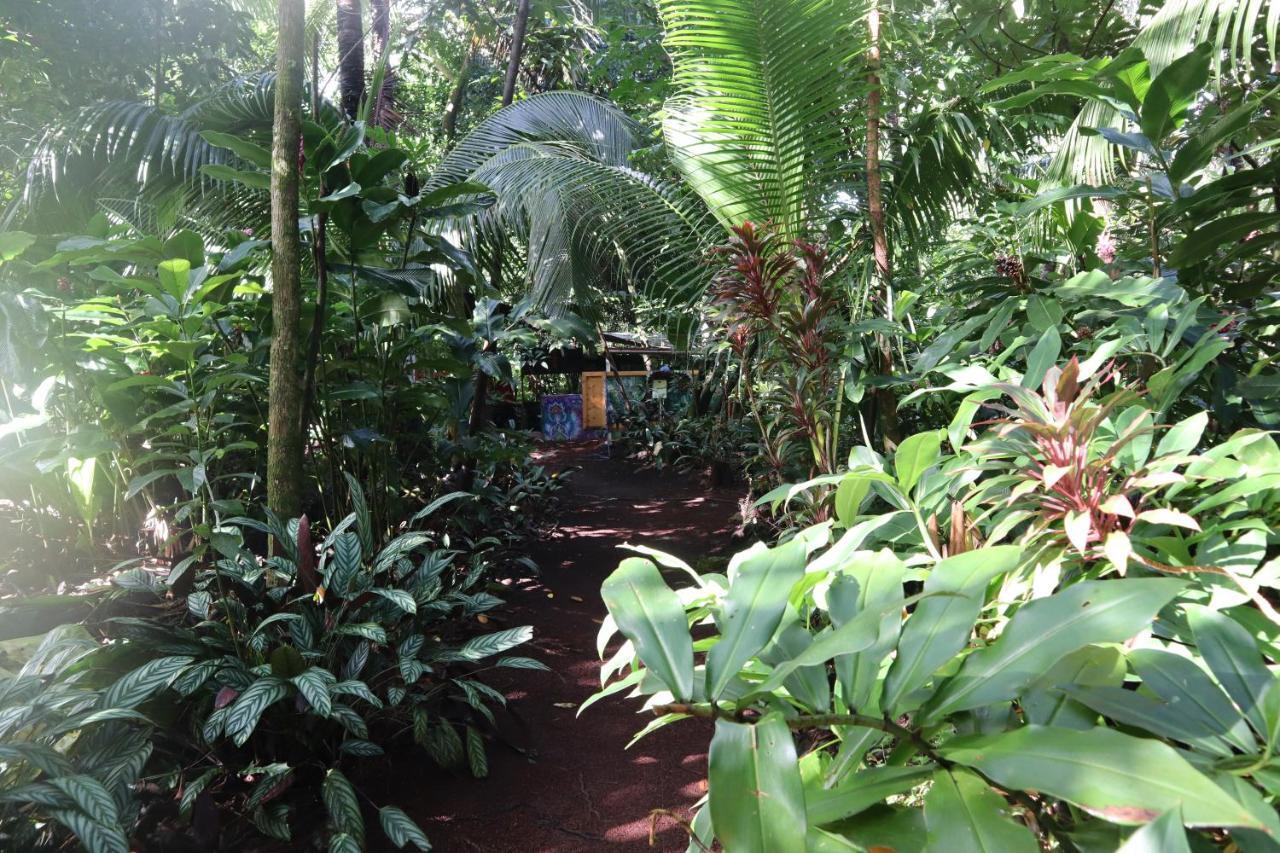 Paradise Eco Village Pahoa Exterior photo