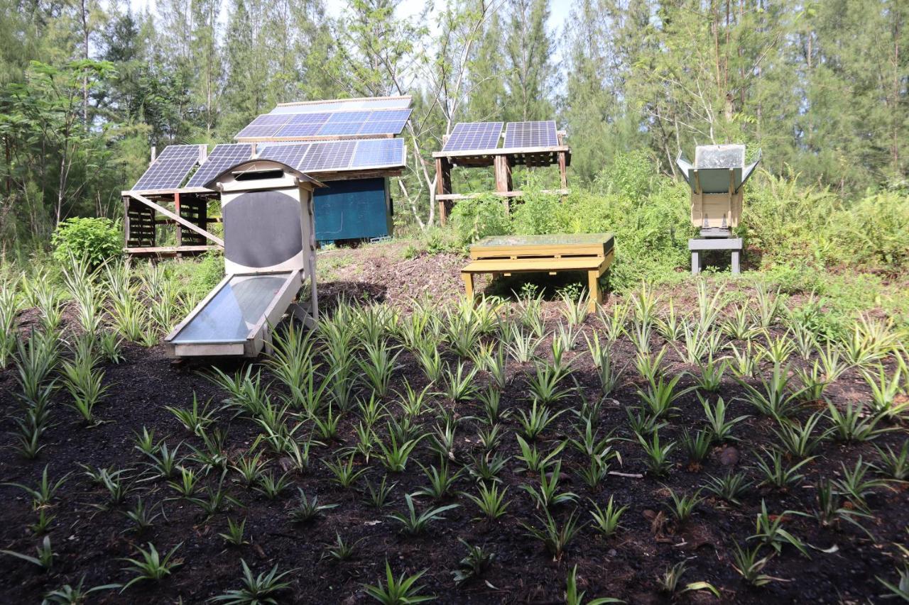 Paradise Eco Village Pahoa Exterior photo